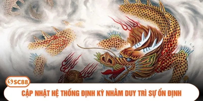 Cập nhật hệ thống định kỳ nhằm duy trì sự ổn định