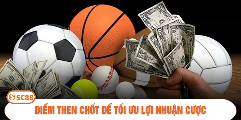 Điểm then chốt để tối ưu lợi nhuận cược