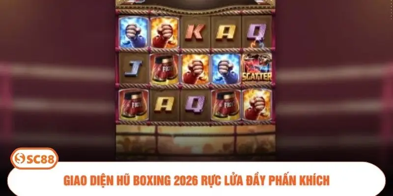 Giao diện Hũ Boxing 2026 rực lửa đầy phấn khích