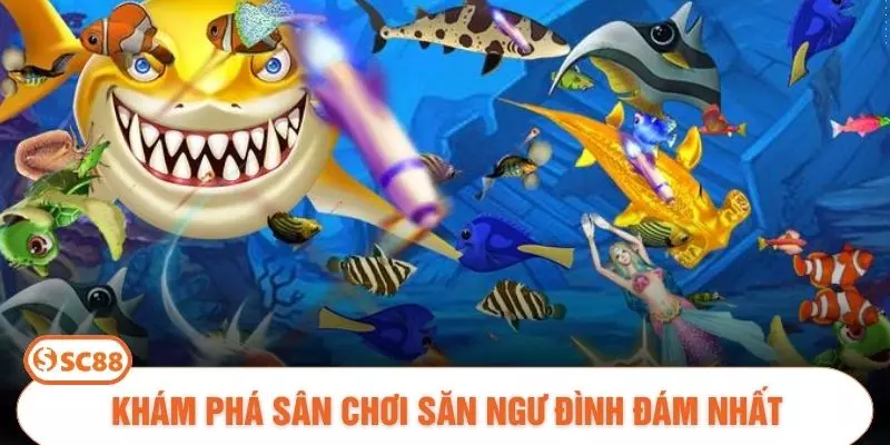 Khám phá sân chơi săn ngư đình đám nhất