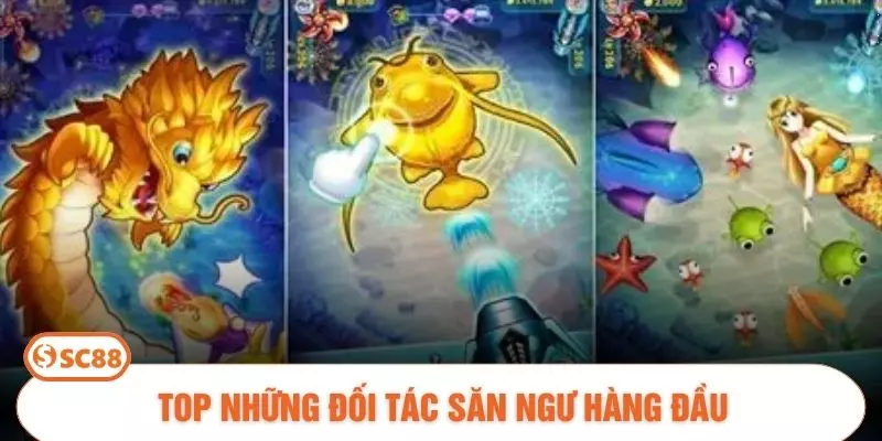 Top những đối tác săn ngư hàng đầu